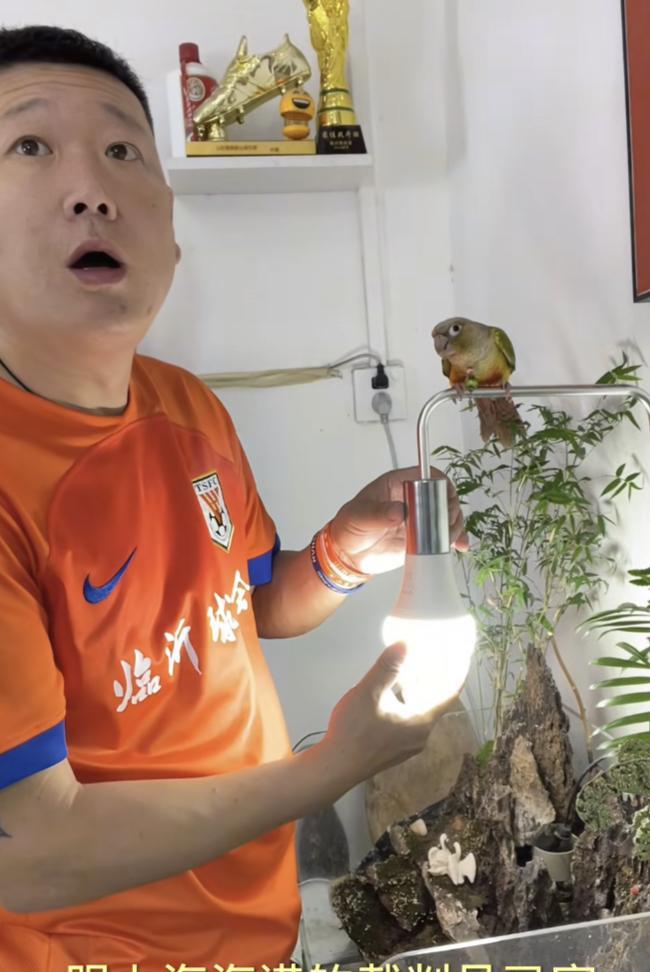 山东泰山将客场挑战上海海港。知名球迷牛刚则表达了对本场比赛的裁判的焦虑。这两位裁