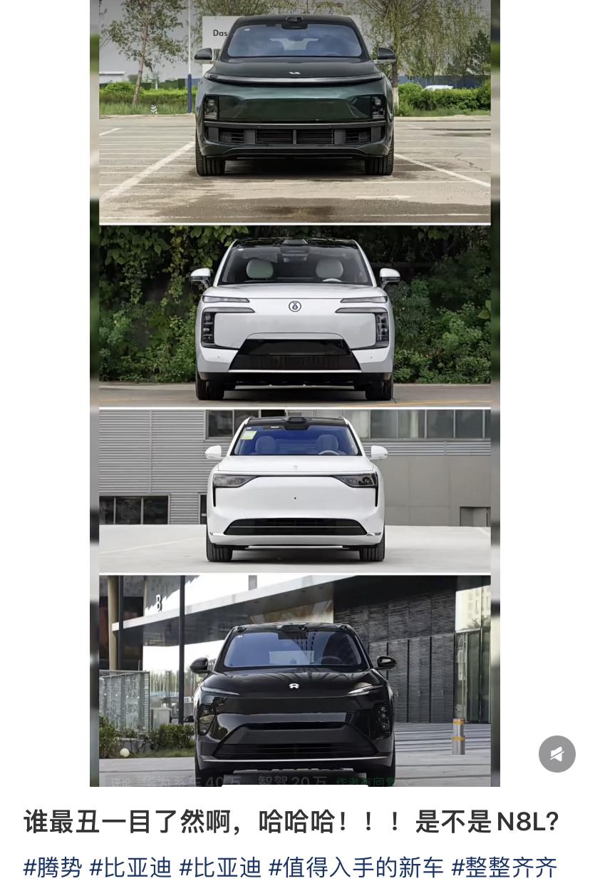 全是死亡视角，感觉只有蔚来扛住了。