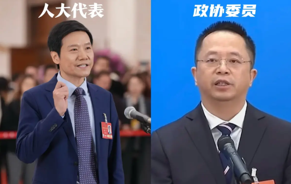 2025年的两会开完了，我突然注意到一个小细节：人大叫代表，政协叫委员。我问了朋