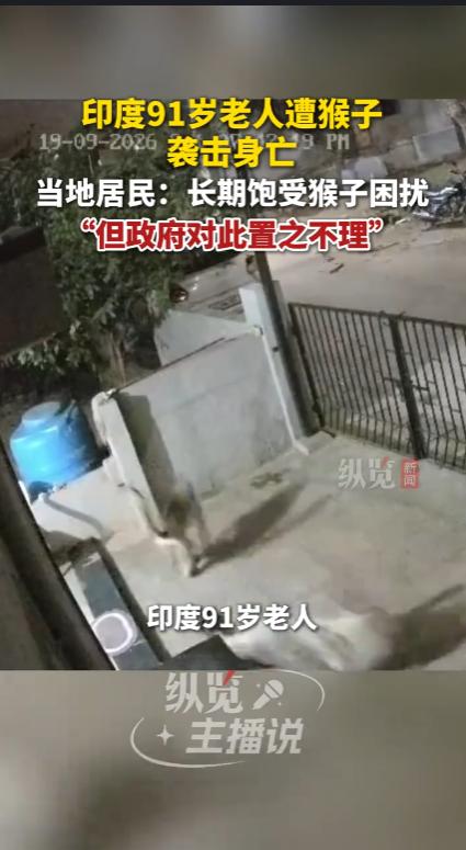 印度卡纳塔克邦，一名91岁的老人在自家院子里，遭到了猴子的袭击，摔倒重伤，她的家
