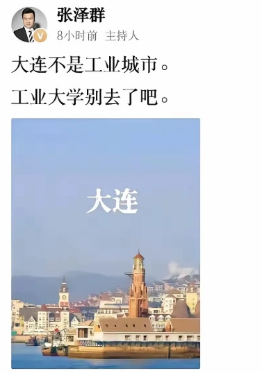 对不起，我真的无法共情张泽群大连工大开除事件闹得沸沸扬扬时，央视主持张泽群微