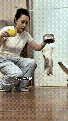 很难不被这两只性格反差满满的猫咪逗笑。一开饭，小奶猫急得蹦蹦跳跳，脑袋扎进食碗埋