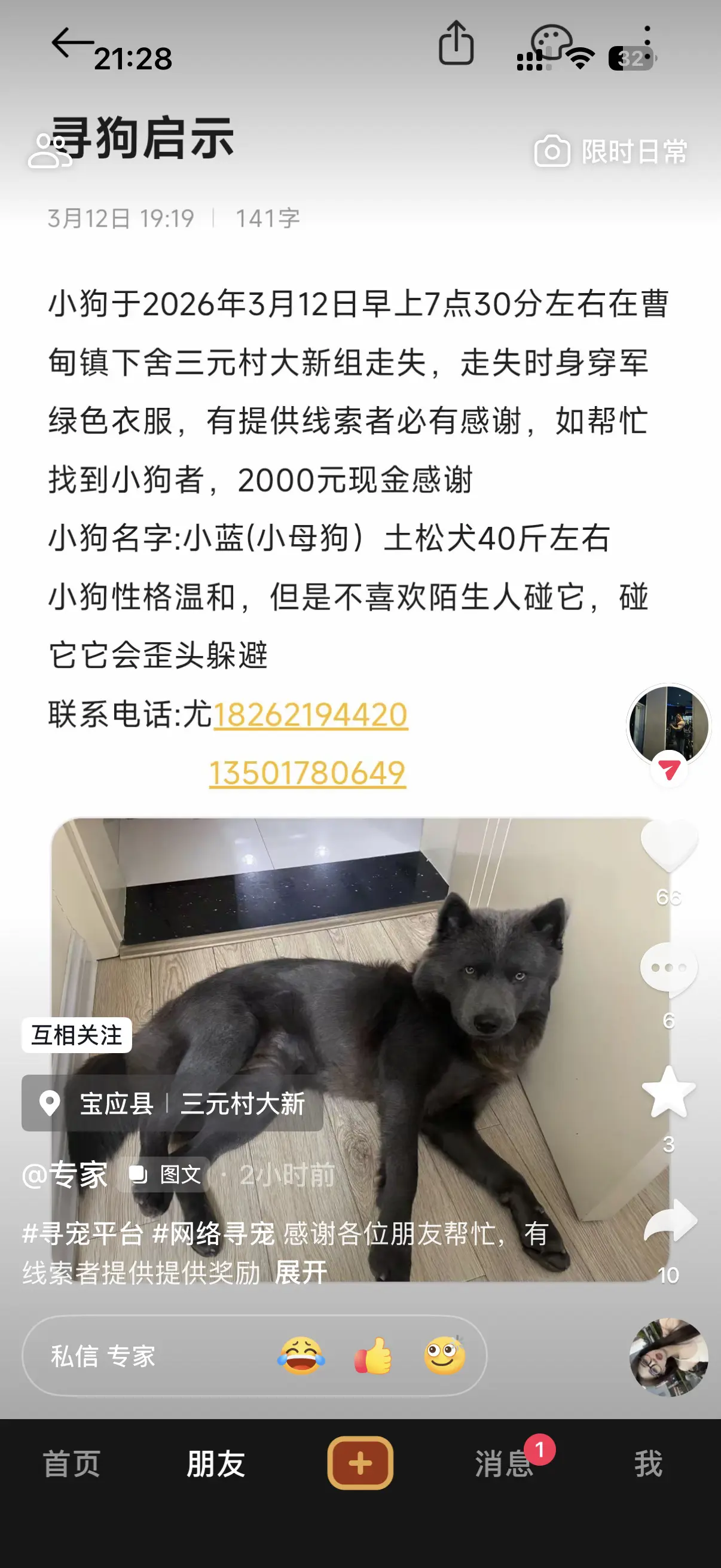 朋友的狗，有线索的提供下