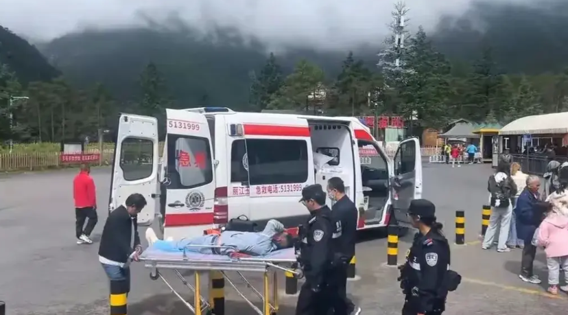 云南导游挨打了。7月3日凌晨，导游去酒店接游客去玉龙雪山。到了蓝月谷，一名孩子