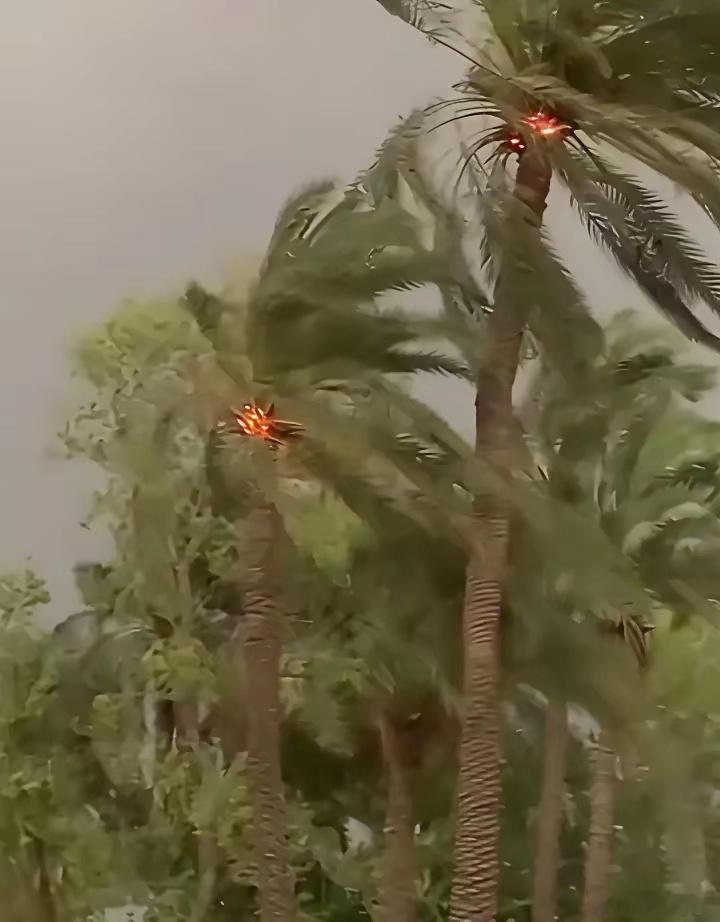 以色列的火不是一般的火就连椰子树上都是自燃的被阿拉伯人称为上帝之火迟到的惩罚，终