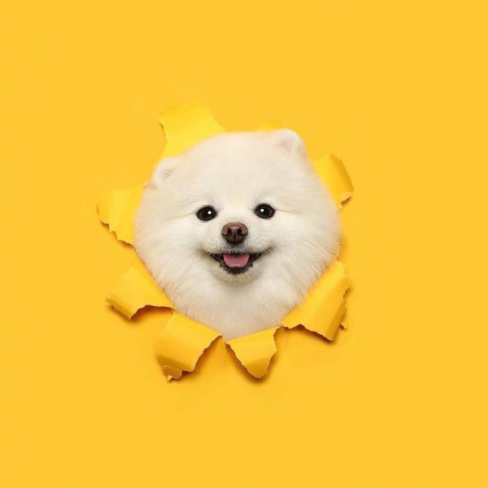 💛没有谁的生活是容易的你以为你最惨其实你只是想被别人拯救