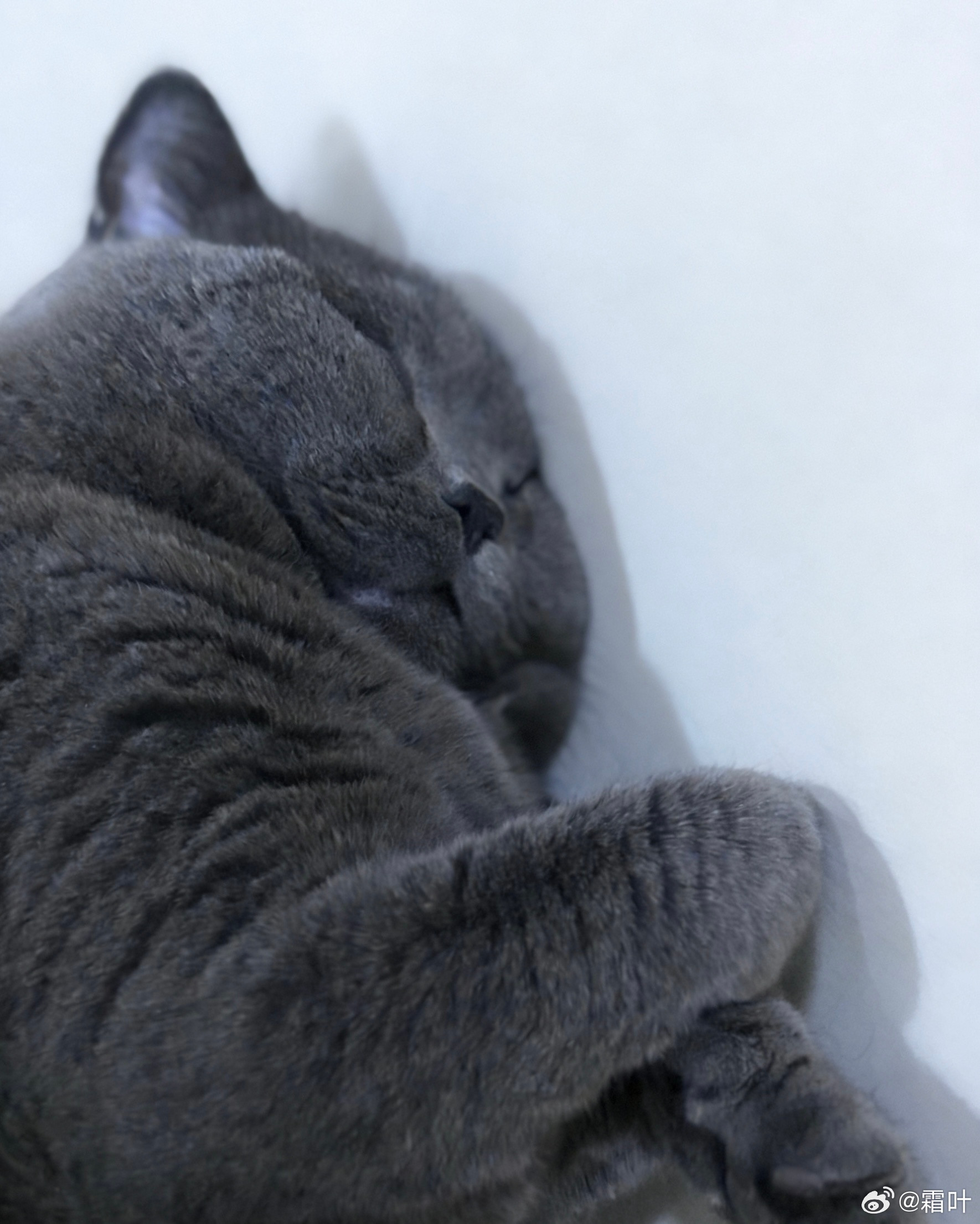 脱离常规的买了一杯星巴克的燕麦拿铁觉得好难喝巨难喝