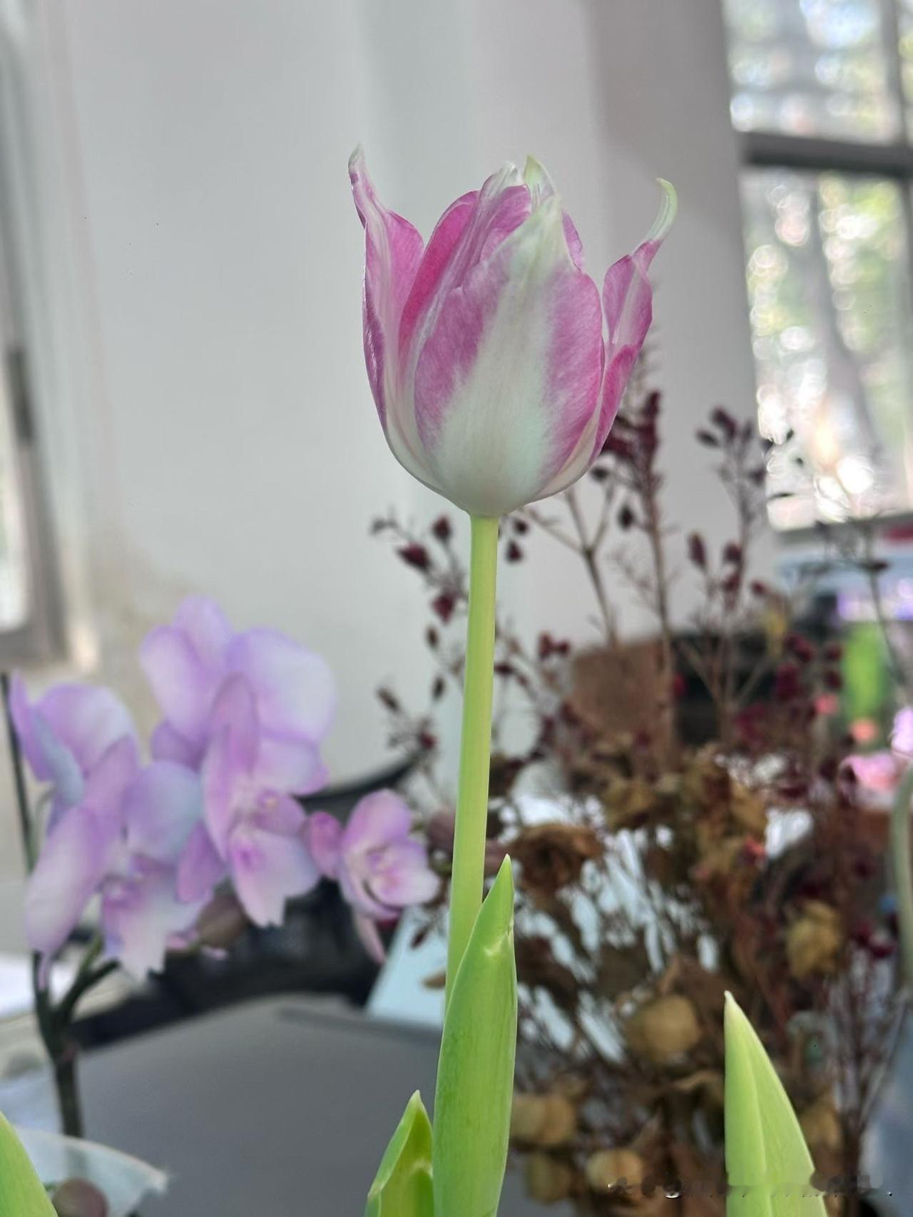 有没有和我一样的被人欺负了当场反应不过来，本能反应居然是退让、沉默，嘴唇动了半