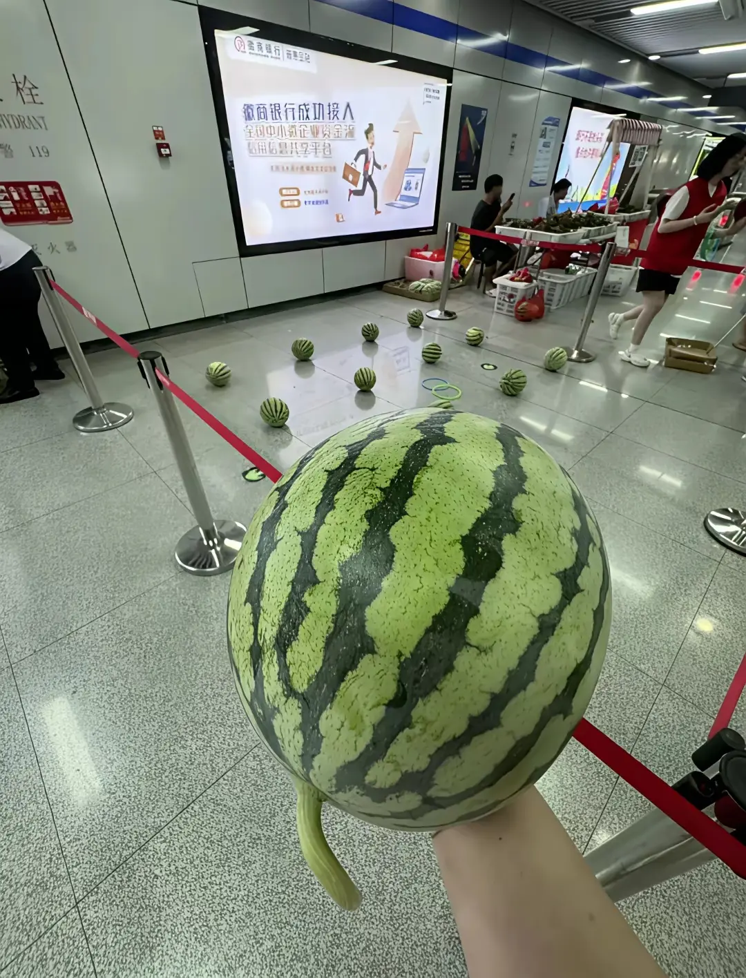 合肥地铁沉浸在自己的世界里。