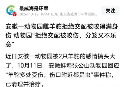 安徽蚌埠，某动物园的两只羊驼，雌羊驼拒绝交配，被公羊驼咬的满身是伤，饲养员没办法