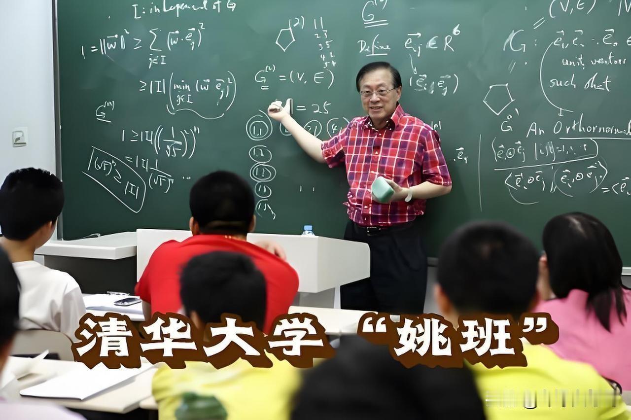 清华姚班、北大图灵班、中科大少年班都是国内最顶尖天才培养项目，能进任何一个班想必