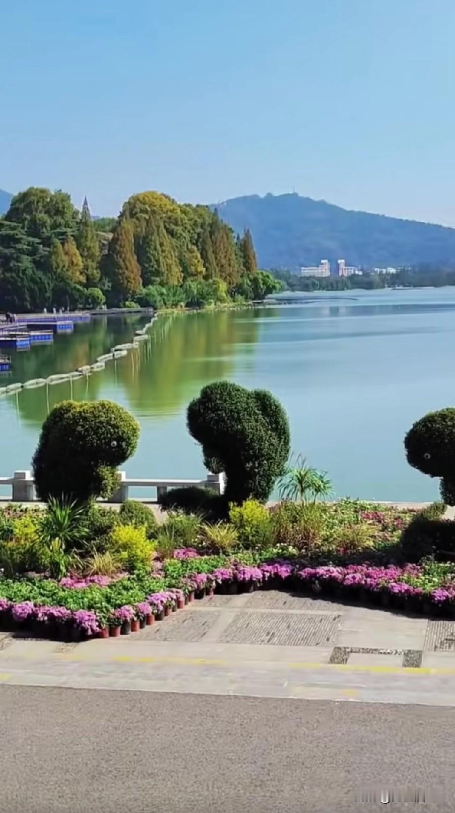 胃癌术后两年多，吃点凉的水果还是难受。今天吃了一个橙子，后