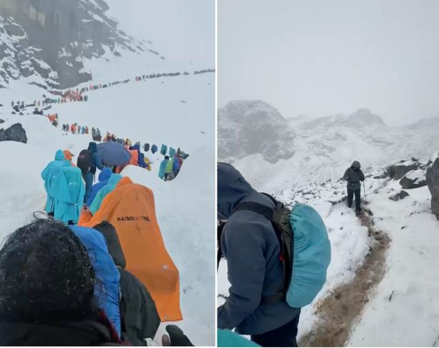 珠峰大暴雪, 向导一人一狗救出上百人!