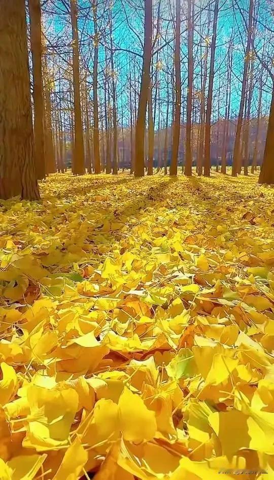 告诉你一个很绝的心态，就是上天给你什么，你就享受什么，上天拿走什么，你就放弃什么