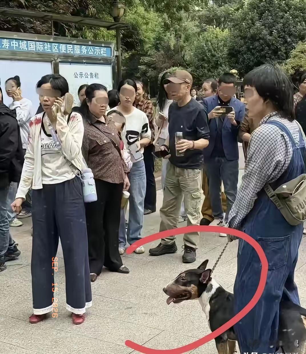 仁寿狗咬事件里，有一个容易被大家忽略的细节。伤人惨剧刚刚发生、警方抵达前，现场