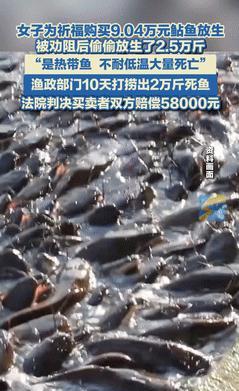 “作孽啊！”江苏一女子为给自己和家人祈福，竟花9万多买了2.5万斤外来鲇鱼，什么