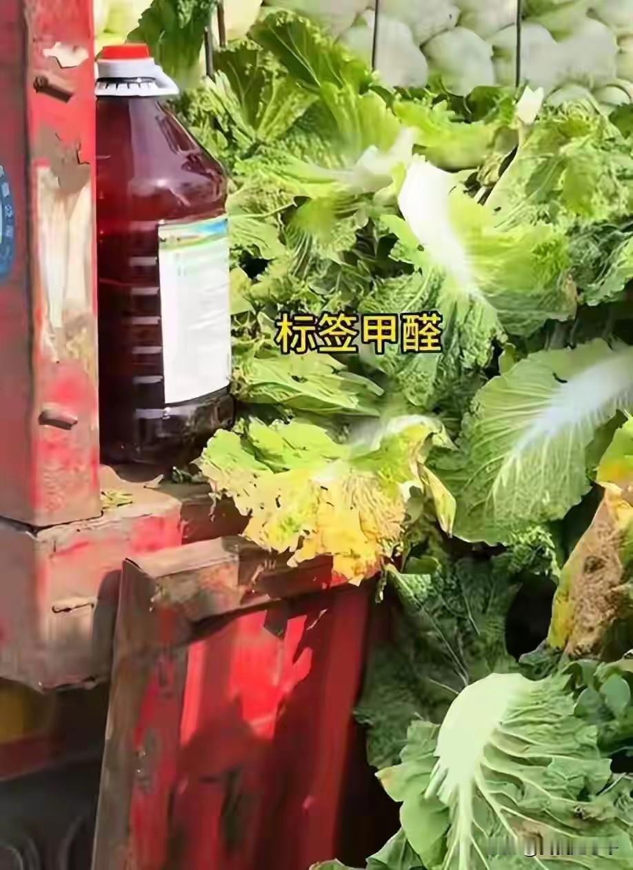 现在河北甲醛白菜这个新闻又有一点反转的迹象大量渠道流出，添加甲醛的并不是菜农，