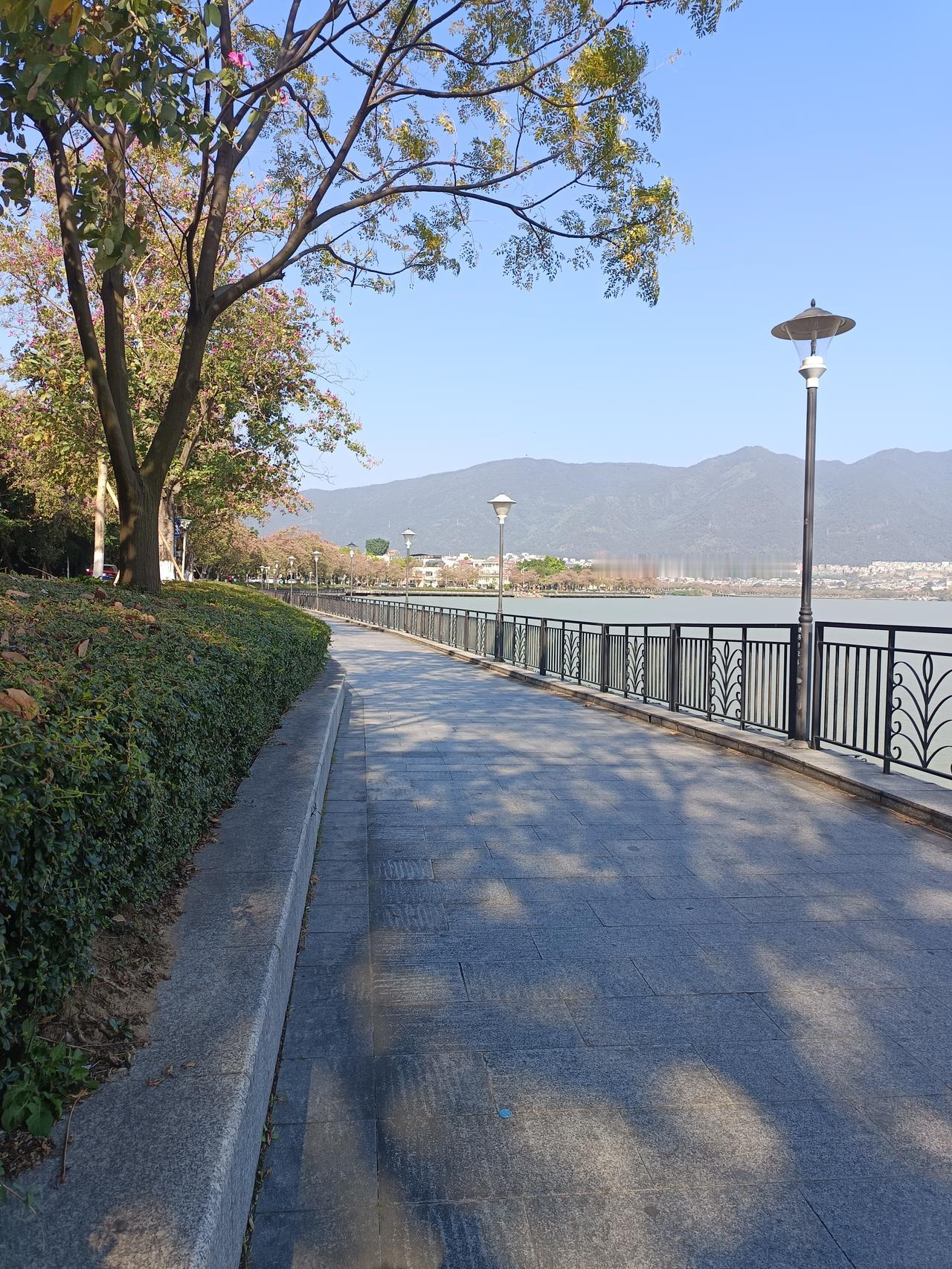 为什么元旦假期其他地方这么多人，5a级景区却依然寥寥无几你敢相信吗？这就是