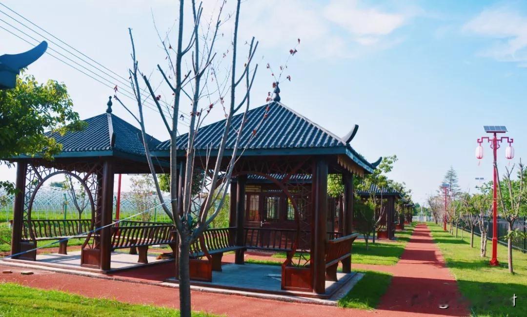 她被人堵在了公厕里泼粪水，闺蜜的老公躲在一边偷着乐。小丽就攥着闺蜜的胳膊，把