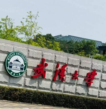 武大还不撤处分武大给肖同学的处分48小时就盖章却要用一辈子消化肖同学的病例