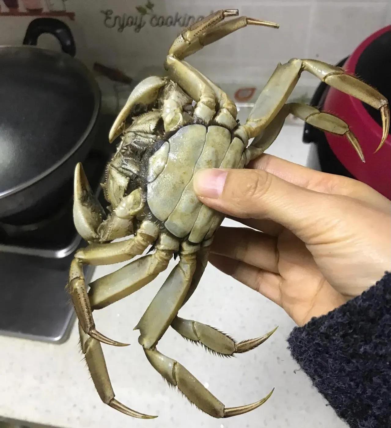 关于刚死的螃蟹是否还能吃的问题，下面为您详细解答：一般来说，螃蟹在死亡后，体