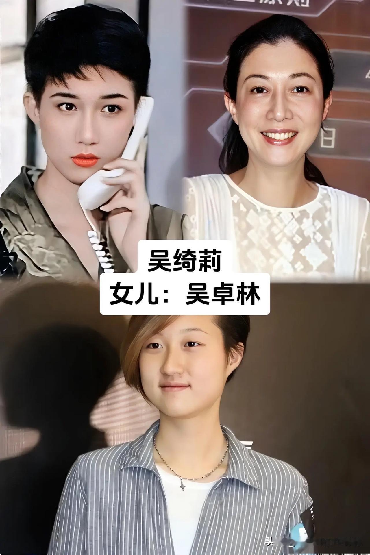 很多人总以为，明星子女生来就该复刻母亲的美貌。翻看这组对比图才看清，基因这件事，