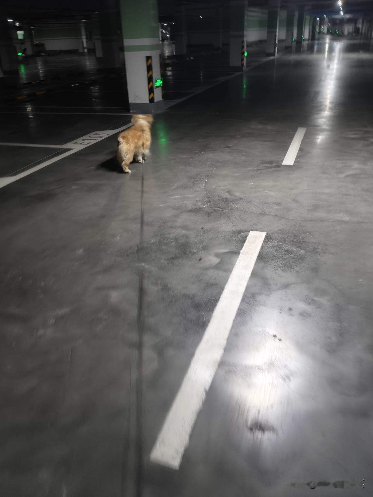 记不清了