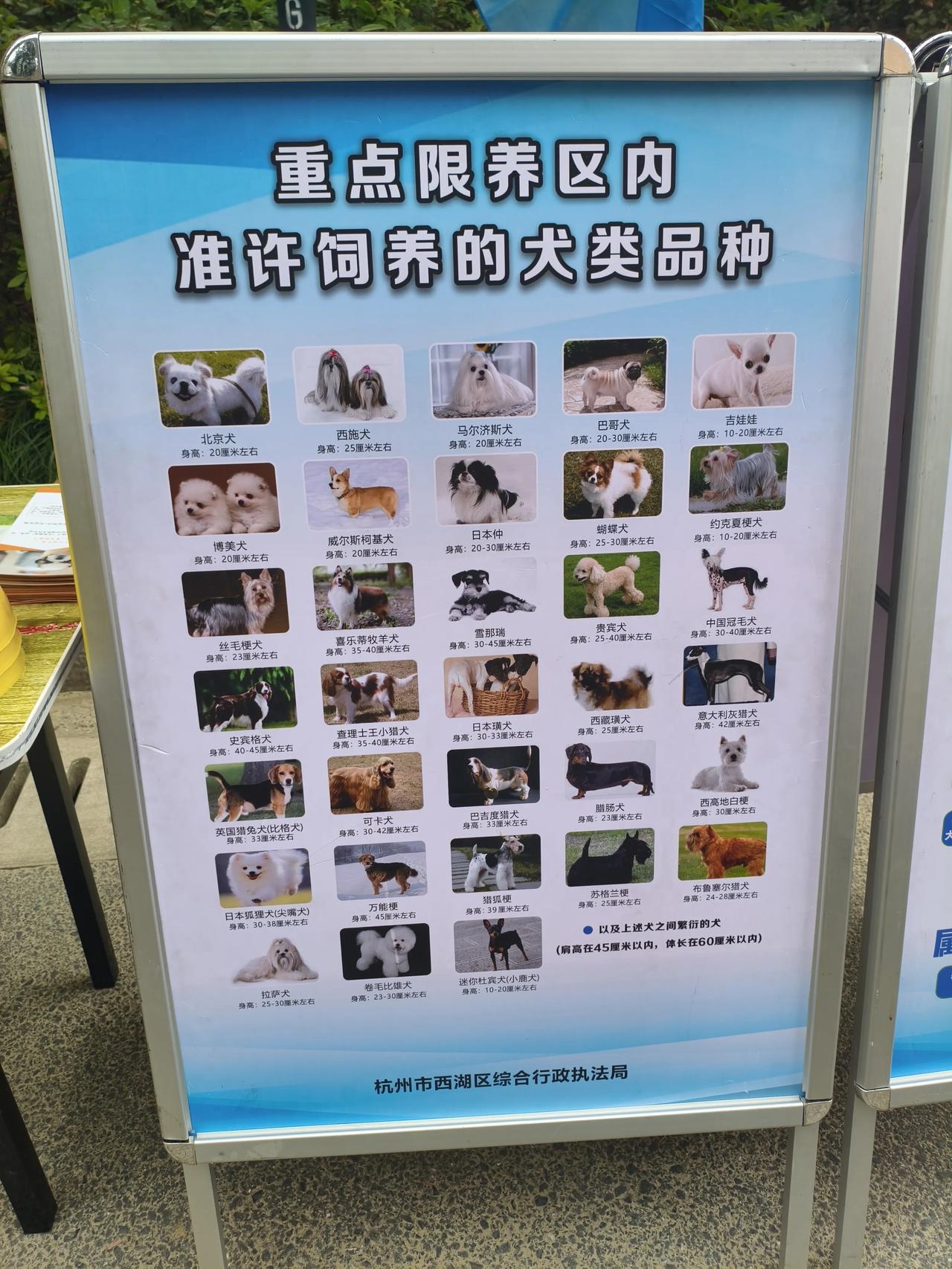 杭州小区现场办狗证：允许饲养的狗狗，肩高上限45厘米，这个做法挺贴心。现场公示