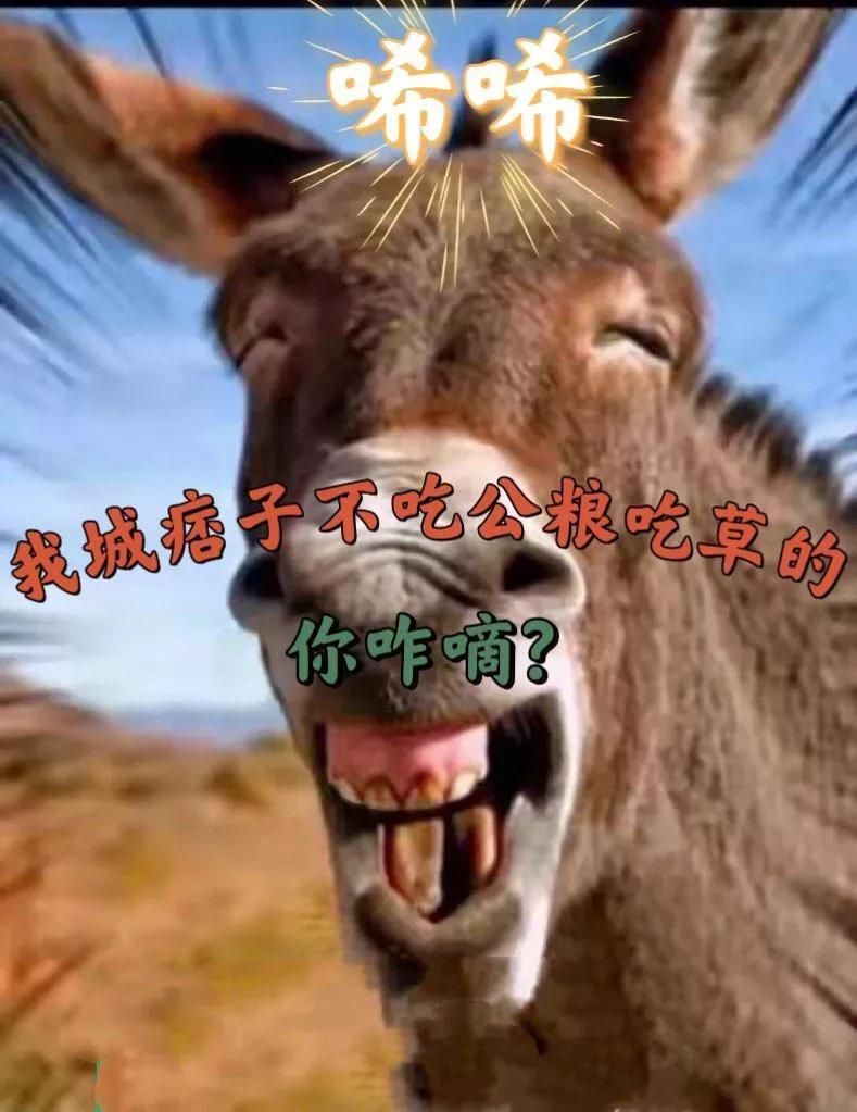 真不想在说这个羊鸣了，以经两个月不骂农民了，不知那根神经又断了，这期视频她又开骂