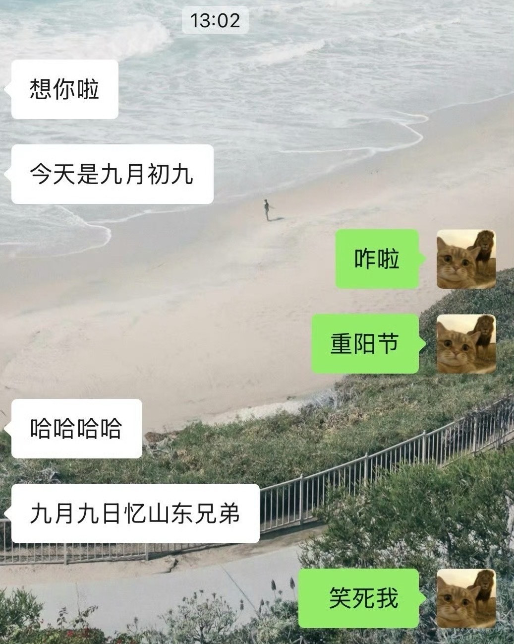 今天你想山东兄弟了吗？为什么想？因为是重阳节啊！哈哈哈哈哈哈我的日常plogp