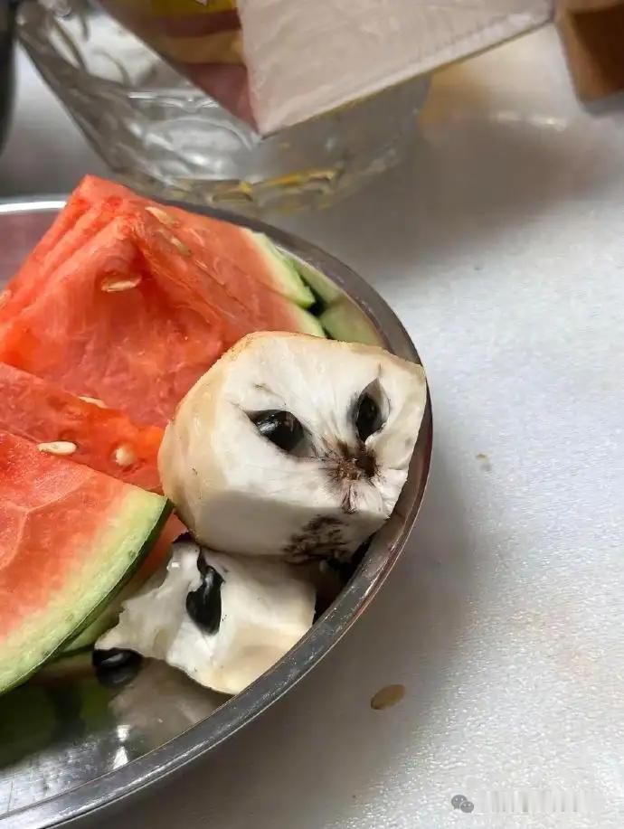 这个水果像极了我家的猫