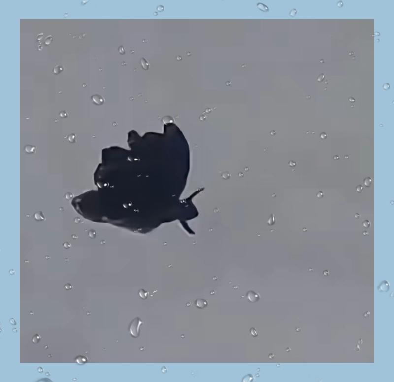 就在前几天，内蒙古包头的一位网友，在离地面大概五十多米高的空中，拍到了一个造型特