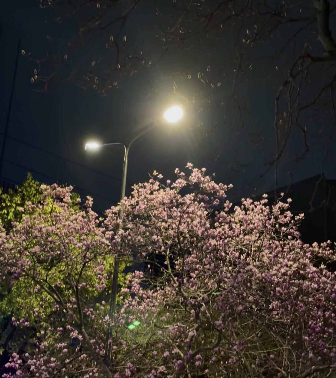 刚听到一个让人心里发堵的消息，同事的女儿永远离开了，才29岁。她独自在南方打