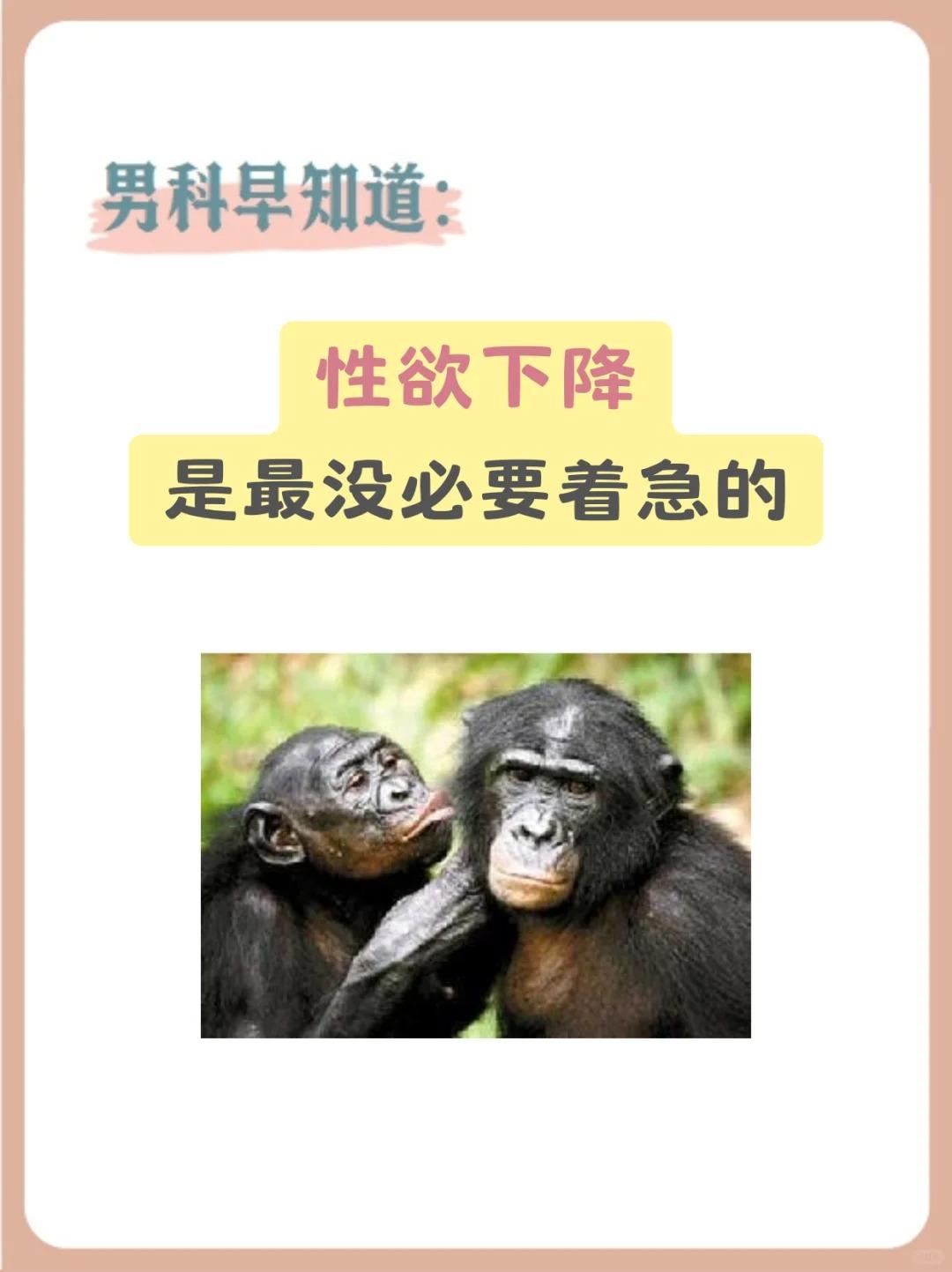 【欲速则不达，顺应身体节奏，方是养生之道！】👉性欲者，气血为基，情