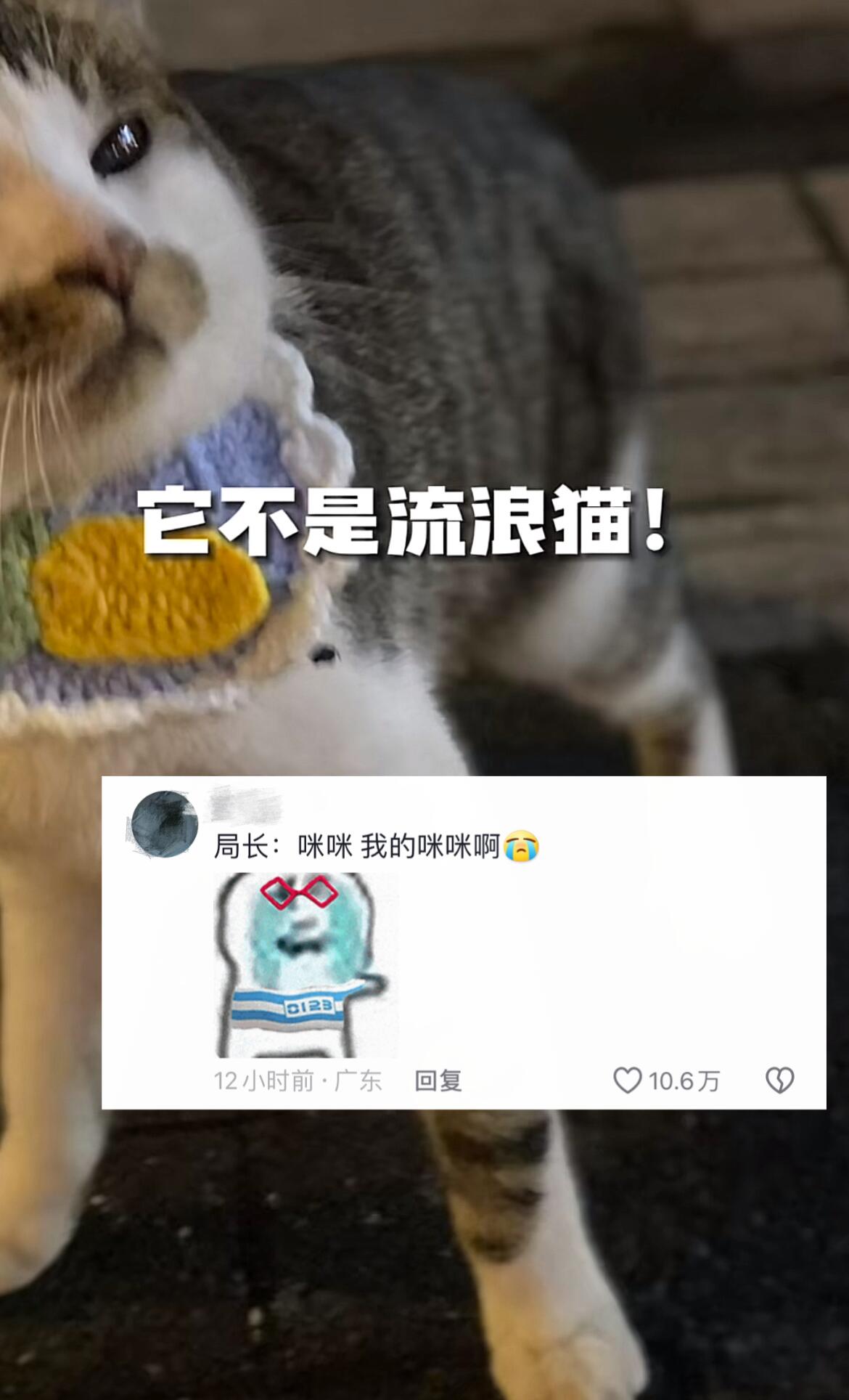 到底谁把老干部偷了啊