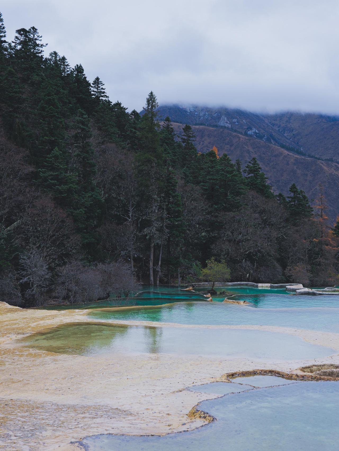 九寨沟自驾游安全吗?和朋友几个打算过年自驾游去九寨沟玩一趟.我们几个都没有多久