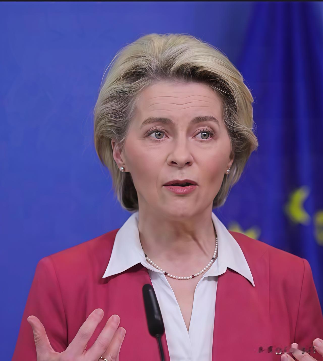 欧盟委员会正式宣布！11月26日，欧洲议会现场传来重磅消息：欧盟委员会主席冯德