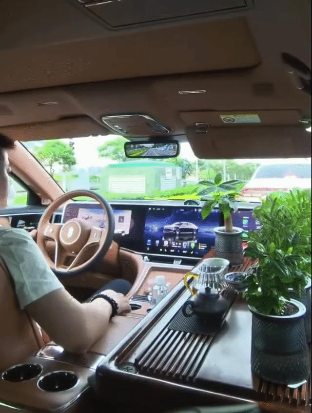 城会玩，刚看到个尊界S800车主有点东西，属于是高明远同款副驾，茶台、鱼缸、绿植