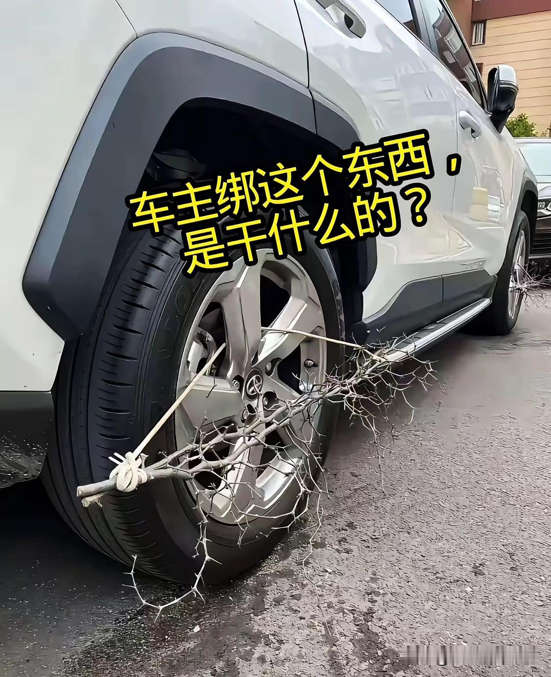 这个车主绑这个是干什么用的？难道是防止狗撒尿[doge]不过好像还是尿上了[捂脸哭]