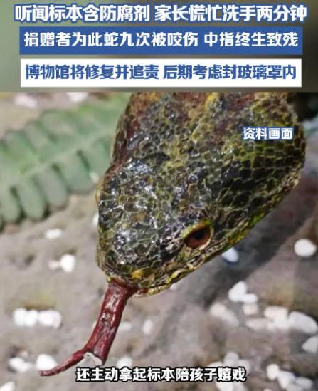 北京国家动物博物馆内，父亲放任孩子抓踢濒危蛇类标本还亲手取下递给孩子把玩，旁人提