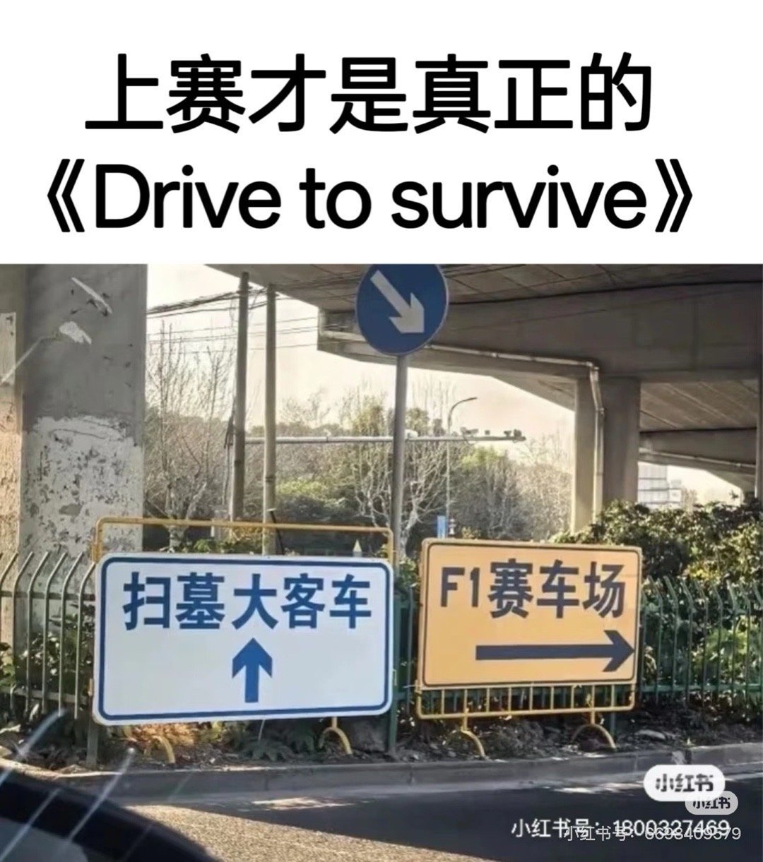 这两天F1在上海的梗图好多。可能需要生活在中国，甚至嘉定这边的车迷才能get到这