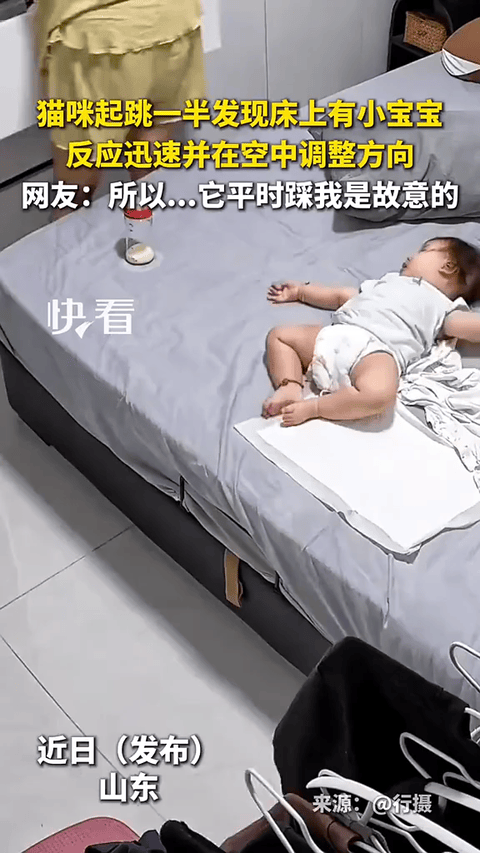 山东，一只猫咪想跳上床去玩，结果腾空的那一刻突然发现小主人躺在床上，硬是在半空中