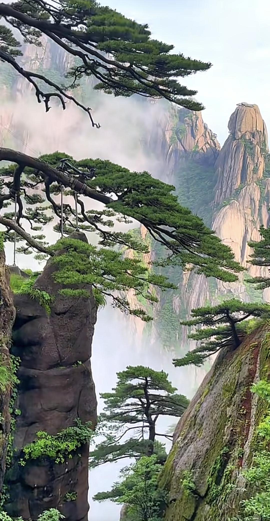 黄山归来不看岳，织金洞外无洞天。琅环胜地瑶池镜，始信天宫在人间风景黄山