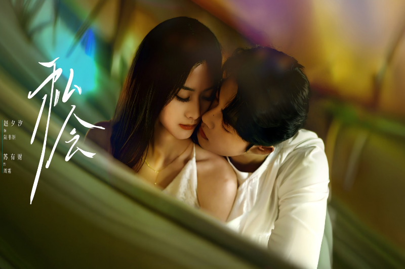 画廊主理人逆袭逃婚：十年豪门婚姻终被昔日少年打破