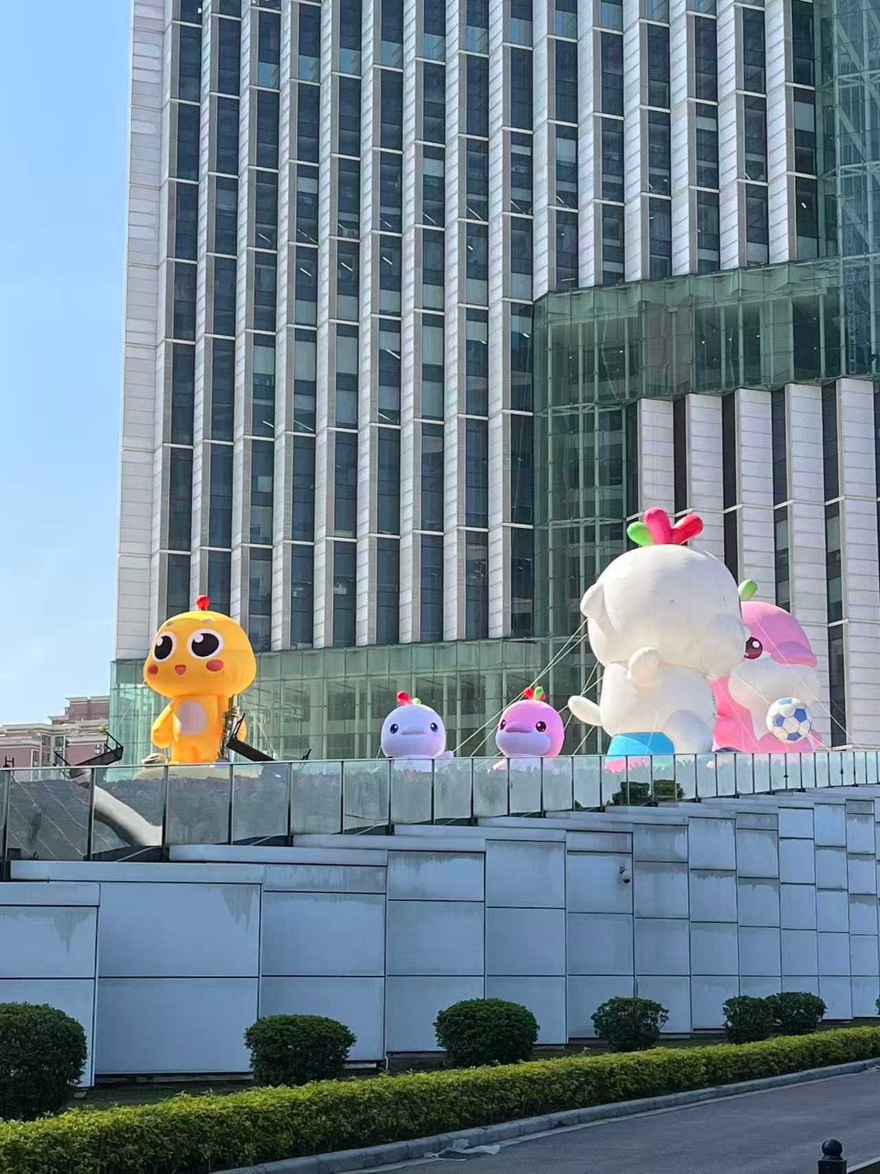 办公室外，又来了几只