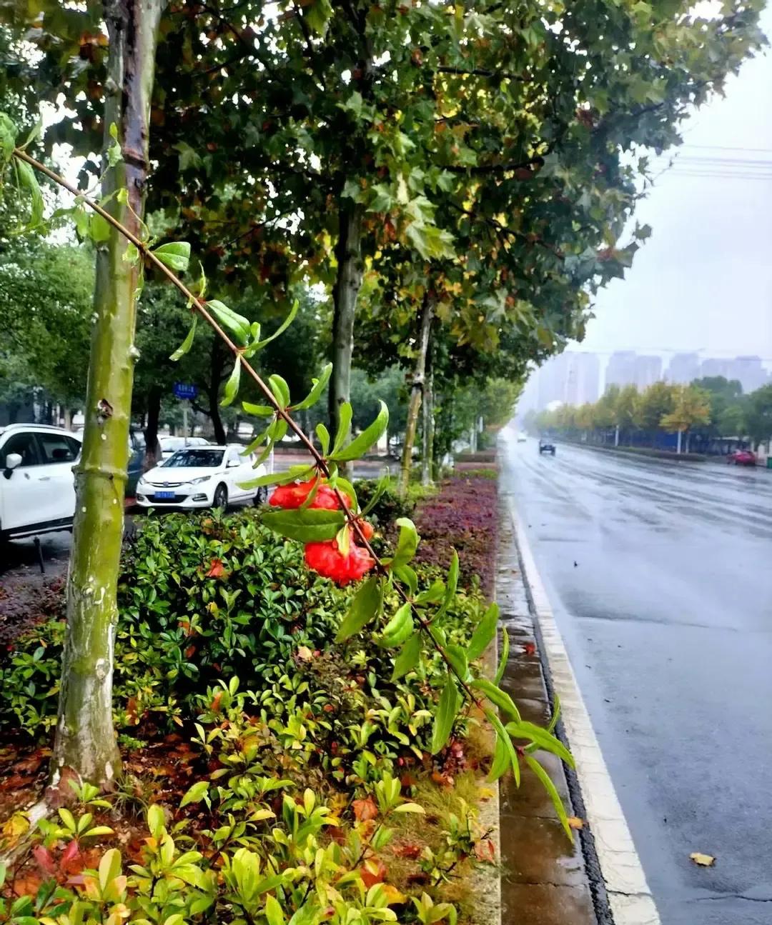 原配把丈夫和闺蜜请进出租屋过年，结果俩人半夜锁在厨房，手机还留着“你比她懂我”的