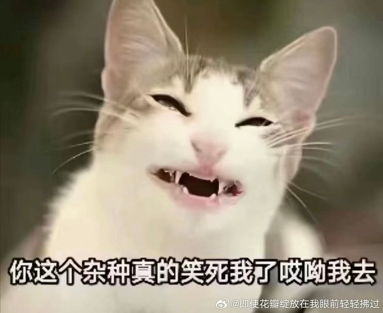 我现在长这样