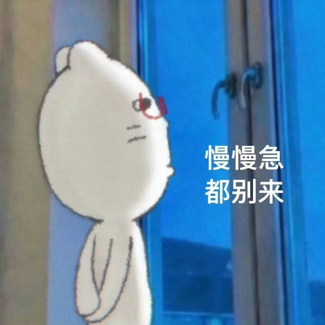 今天开始我要认真养铁了！