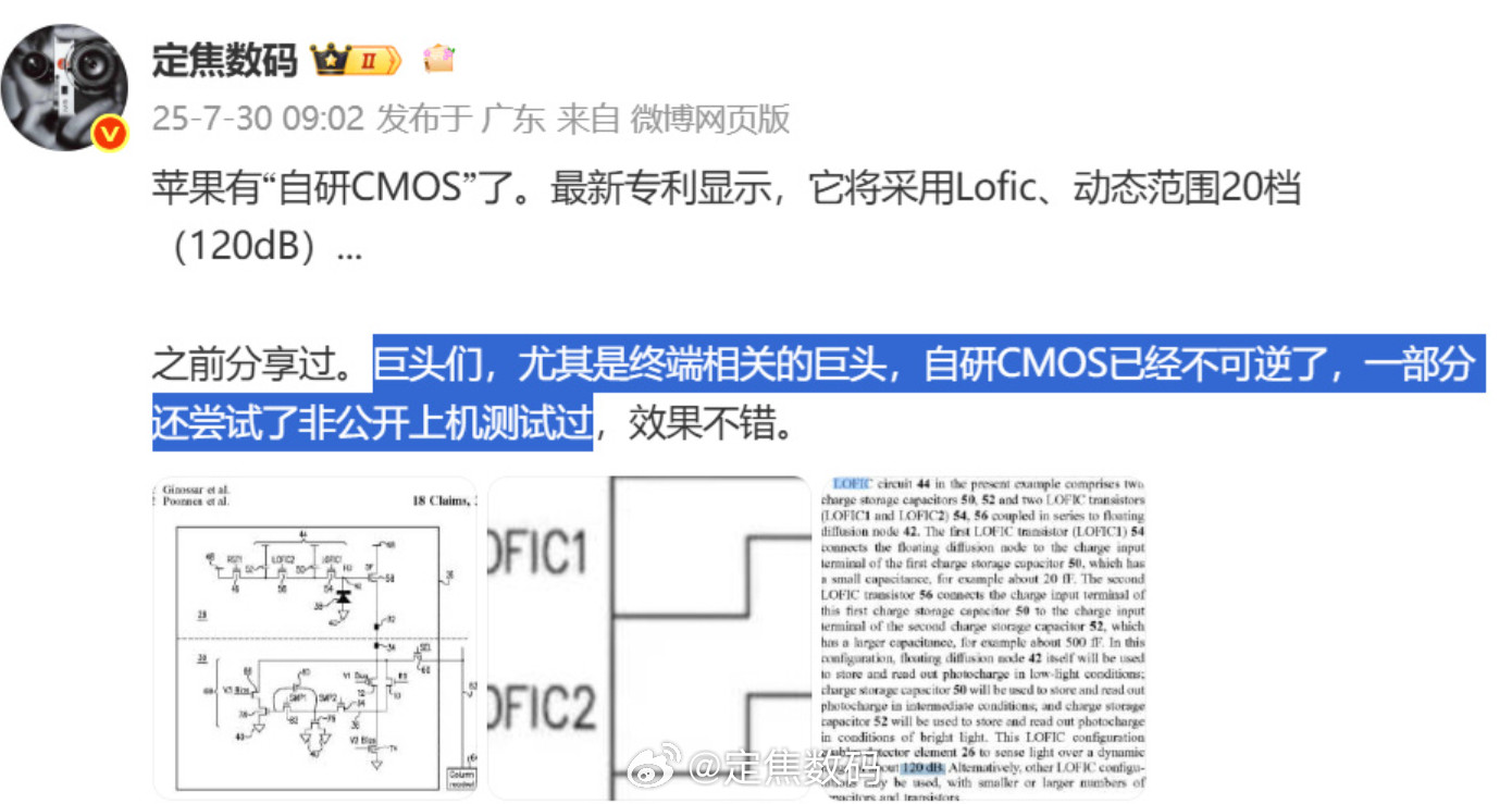 猜猜这个巨头是谁？也就是说，在此之前已经做过一些自研CMOS的测试与上机海思CS