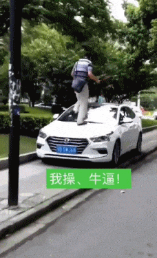爆笑GIF: 虽然你违规停车了, 但是我没有违规走路啊